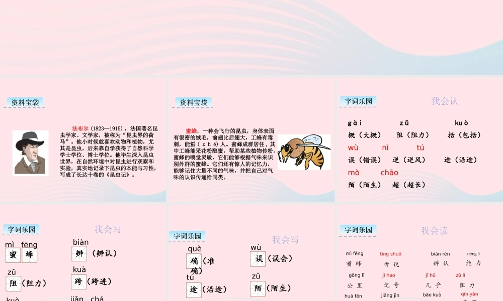 三年级语文下册 第四单元 14 蜜蜂课件2 新人教版-新人教版小学三年级下册语文课件