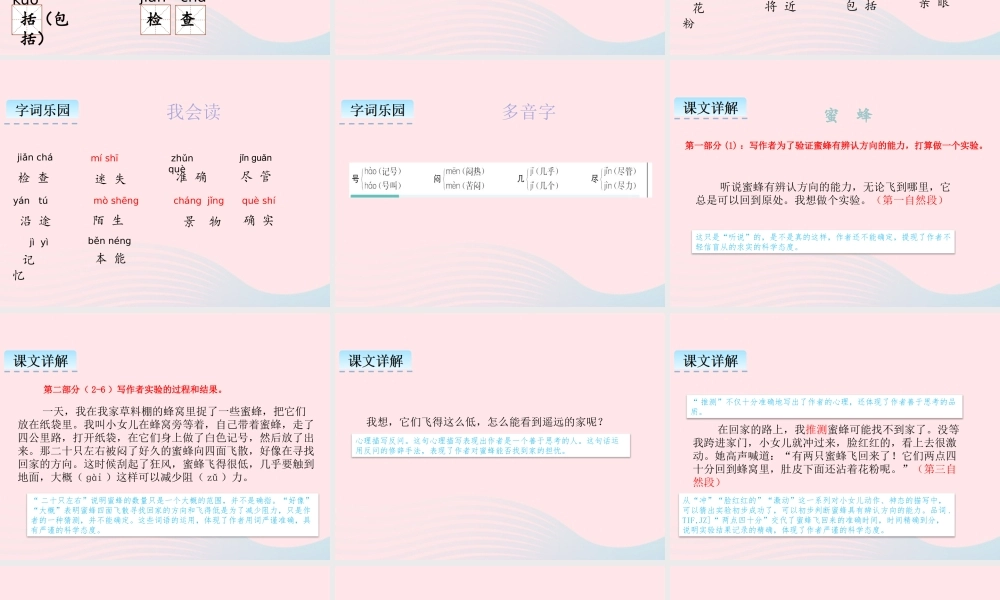 三年级语文下册 第四单元 14 蜜蜂课件2 新人教版-新人教版小学三年级下册语文课件