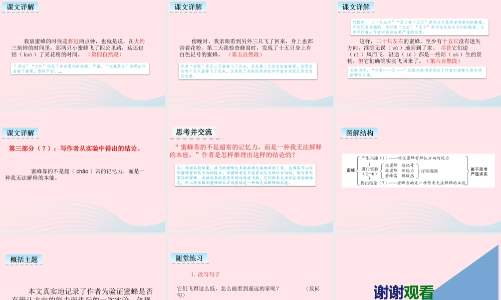 三年级语文下册 第四单元 14 蜜蜂课件2 新人教版-新人教版小学三年级下册语文课件