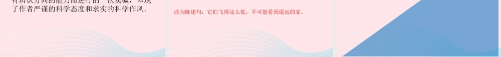 三年级语文下册 第四单元 14 蜜蜂课件2 新人教版-新人教版小学三年级下册语文课件