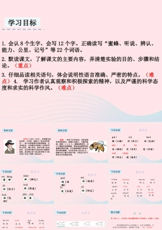 三年级语文下册 第四单元 14 蜜蜂课件2 新人教版-新人教版小学三年级下册语文课件