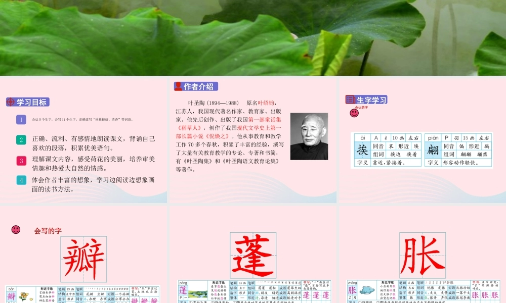 三年级语文下册 第一单元 3《荷花》课堂教学课件 新人教版-新人教版小学三年级下册语文课件