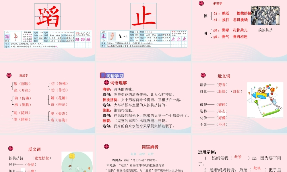 三年级语文下册 第一单元 3《荷花》课堂教学课件 新人教版-新人教版小学三年级下册语文课件