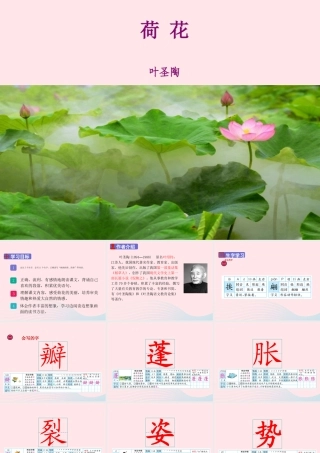 三年级语文下册 第一单元 3《荷花》课堂教学课件 新人教版-新人教版小学三年级下册语文课件