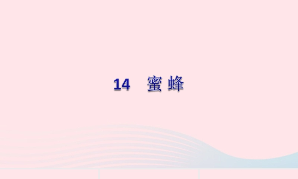 三年级语文下册 第四单元 14 蜜蜂习题课件 新人教版-新人教版小学三年级下册语文课件