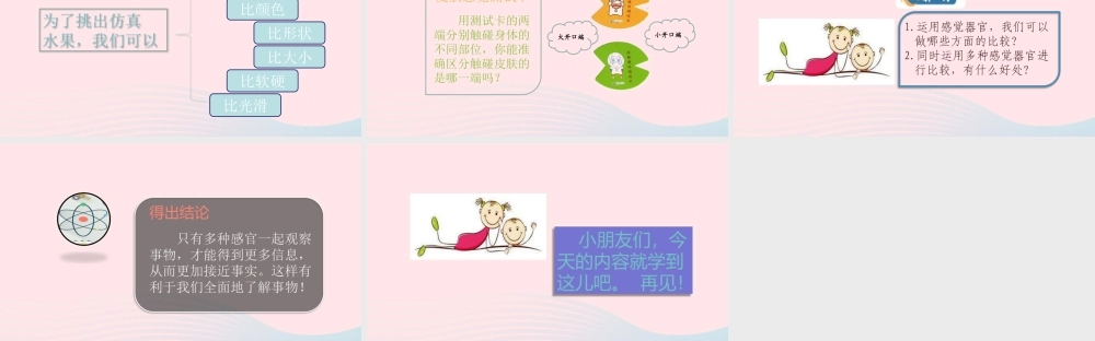 二年级科学下册 我们自己 3观察与比较课件 教科版-教科版小学二年级下册自然科学课件