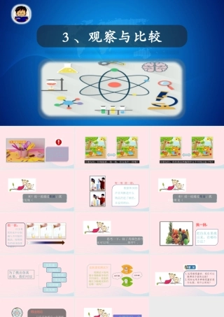 二年级科学下册 我们自己 3观察与比较课件 教科版-教科版小学二年级下册自然科学课件