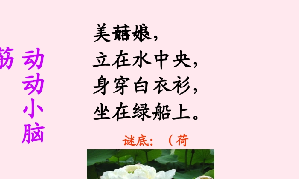 三年级语文下册 第一单元 3《荷花》课堂教学课件1 新人教版-新人教版小学三年级下册语文课件