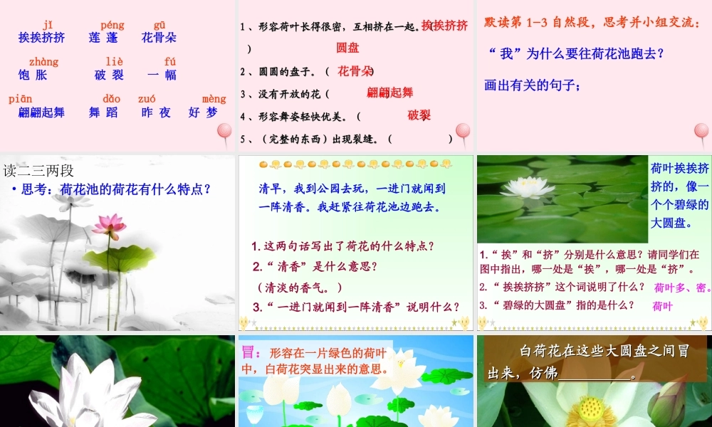 三年级语文下册 第一单元 3《荷花》课堂教学课件1 新人教版-新人教版小学三年级下册语文课件