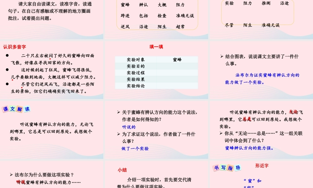 三年级语文下册 第四单元 14《蜜蜂》教学课件 新人教版-新人教版小学三年级下册语文课件