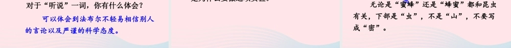 三年级语文下册 第四单元 14《蜜蜂》教学课件 新人教版-新人教版小学三年级下册语文课件
