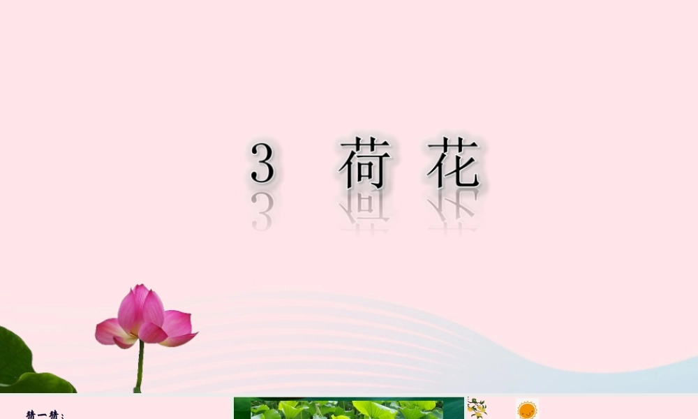 三年级语文下册 第一单元 3《荷花》课堂教学课件2 新人教版-新人教版小学三年级下册语文课件