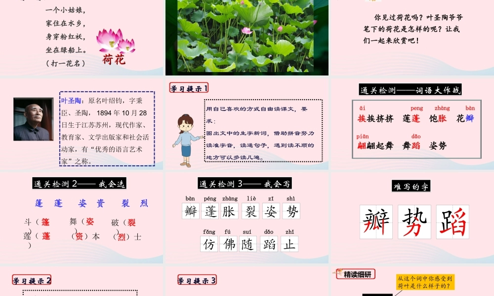 三年级语文下册 第一单元 3《荷花》课堂教学课件2 新人教版-新人教版小学三年级下册语文课件