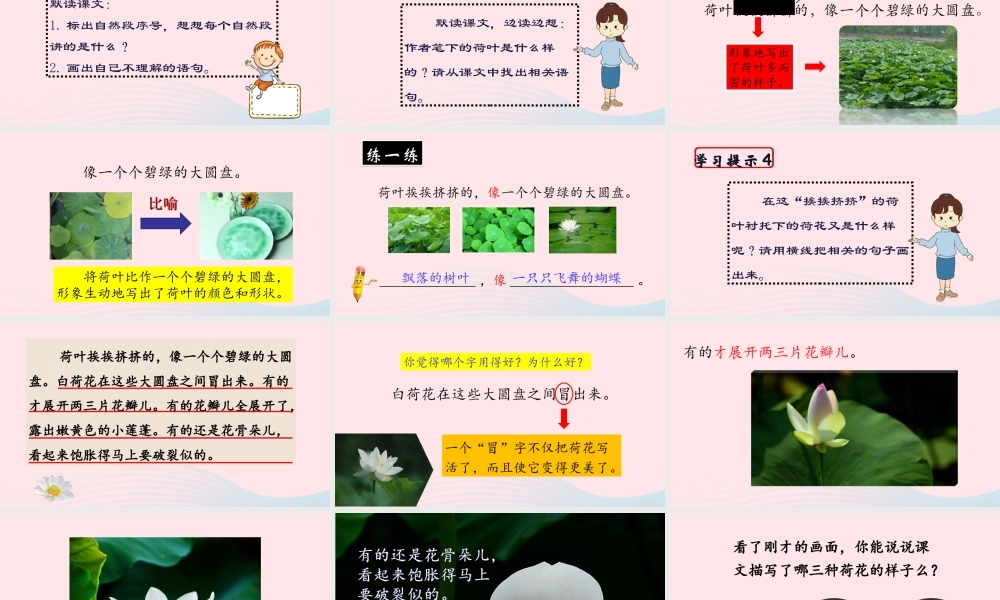 三年级语文下册 第一单元 3《荷花》课堂教学课件2 新人教版-新人教版小学三年级下册语文课件