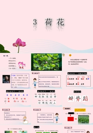 三年级语文下册 第一单元 3《荷花》课堂教学课件2 新人教版-新人教版小学三年级下册语文课件