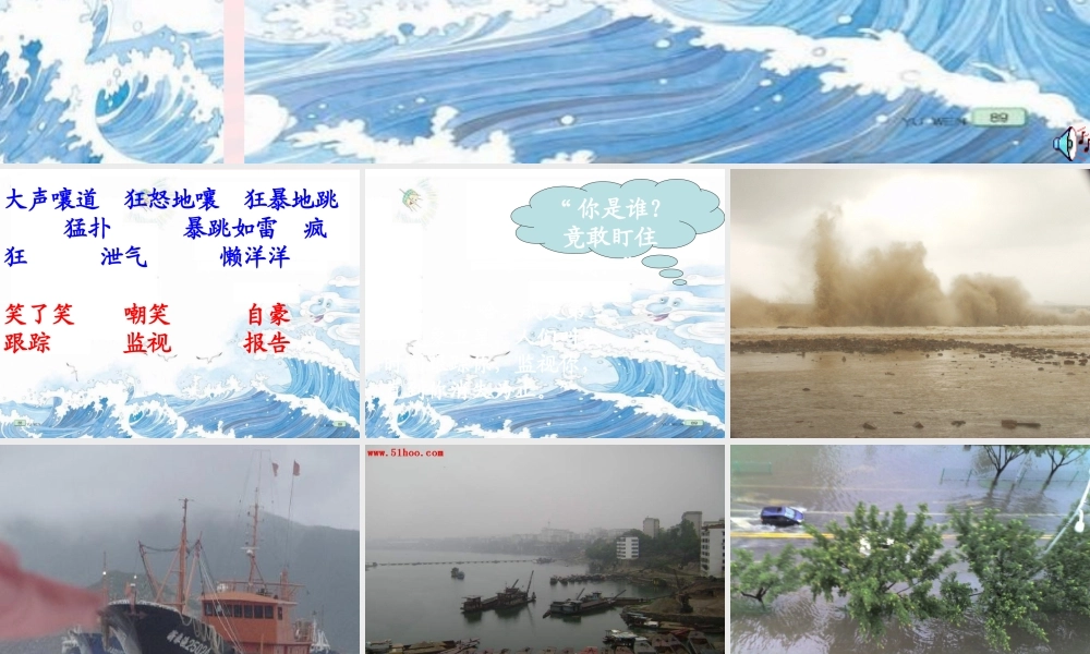 三年级语文下册 第五单元 16跟踪台风的卫星课件1 苏教版-苏教版小学三年级下册语文课件