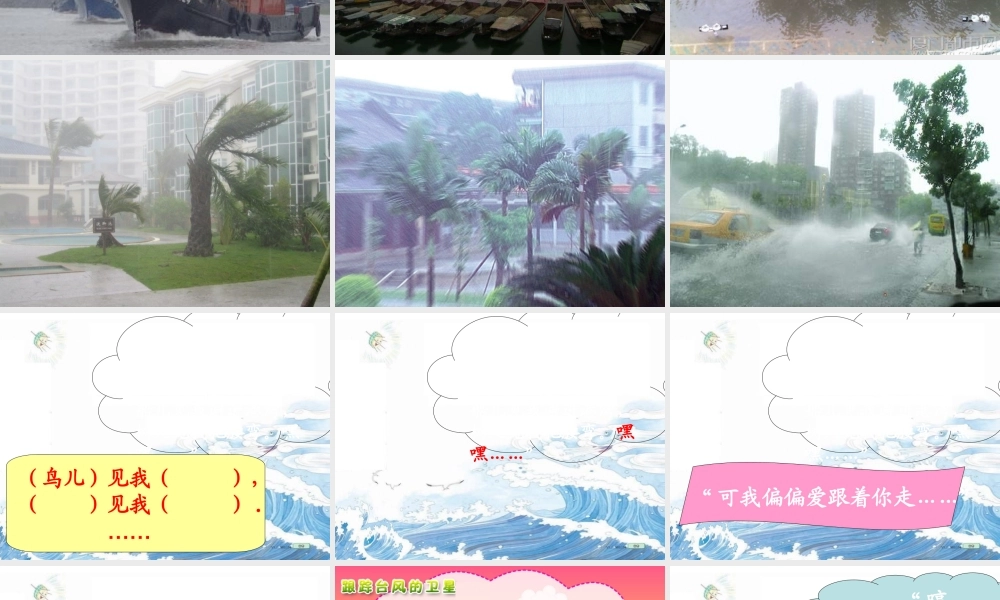 三年级语文下册 第五单元 16跟踪台风的卫星课件1 苏教版-苏教版小学三年级下册语文课件