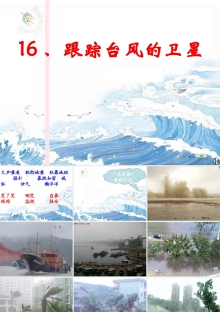 三年级语文下册 第五单元 16跟踪台风的卫星课件1 苏教版-苏教版小学三年级下册语文课件