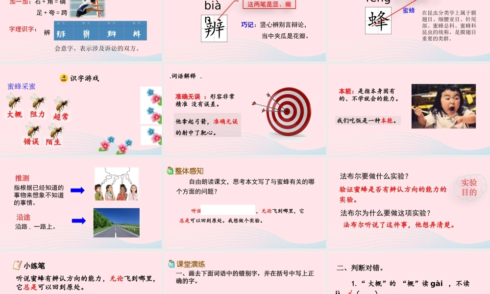 三年级语文下册 第四单元 14《蜜蜂》教学课件 新人教版-新人教级下册语文课件