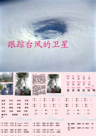 三年级语文下册 第五单元 16跟踪台风的卫星课件3 苏教版-苏教版小学三年级下册语文课件