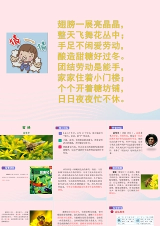 三年级语文下册 第四单元 14《蜜蜂》课堂教学课件 新人教版-新人教版小学三年级下册语文课件