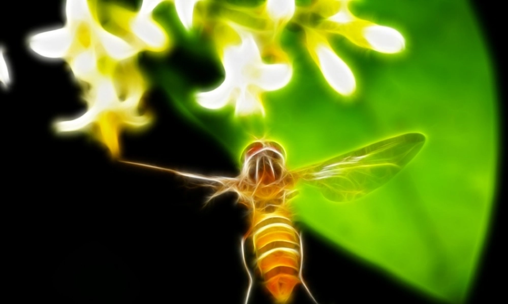 三年级语文下册 第四单元 14《蜜蜂》课堂教学课件1 新人教版-新人教版小学三年级下册语文课件