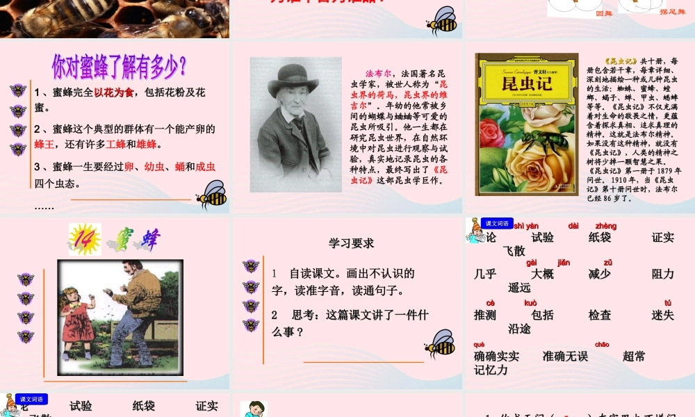 三年级语文下册 第四单元 14《蜜蜂》课堂教学课件1 新人教版-新人教版小学三年级下册语文课件