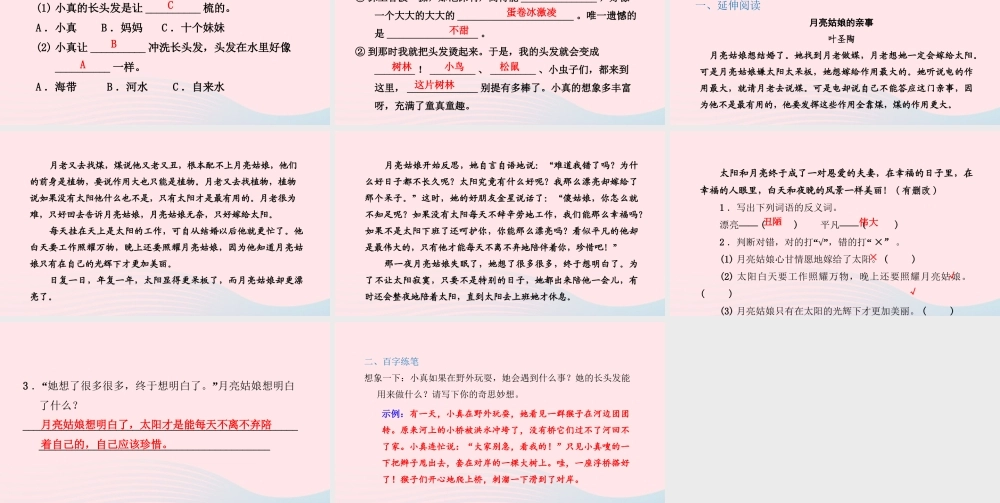三年级语文下册 第五单元 16小真的长头发习题课件 新人教版-新人教版小学三年级下册语文课件