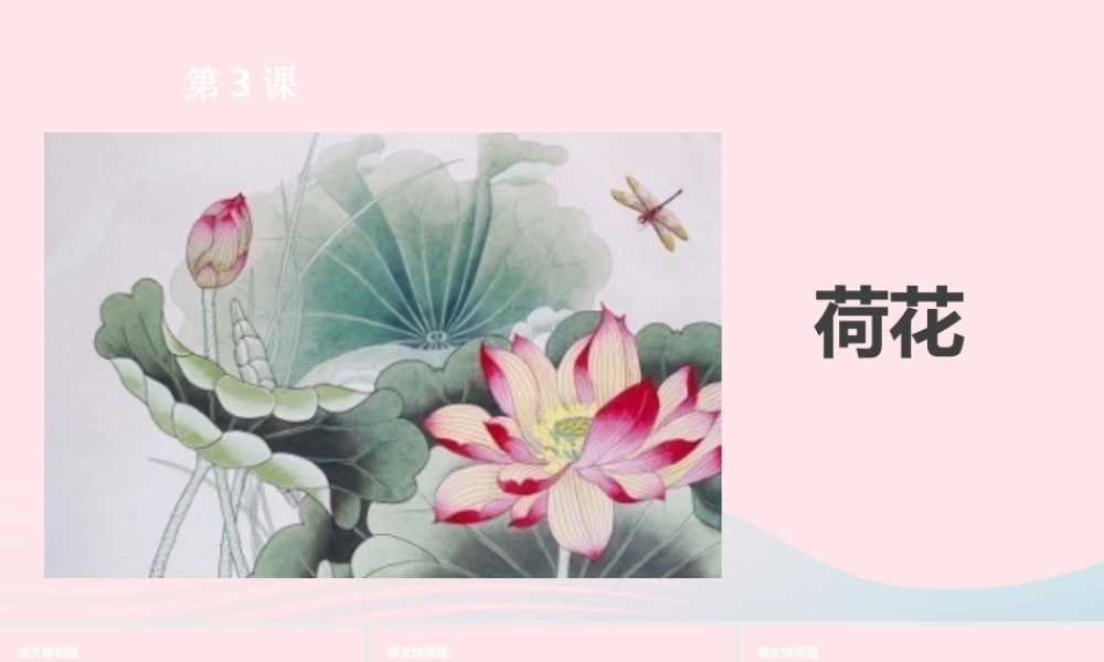 三年级语文下册 第一单元 3荷花课件 新人教版-新人教版小学三年级下册语文课件