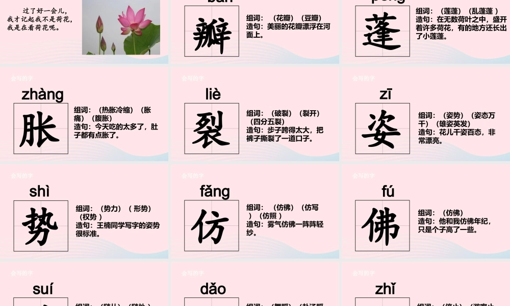 三年级语文下册 第一单元 3荷花课件 新人教版-新人教版小学三年级下册语文课件