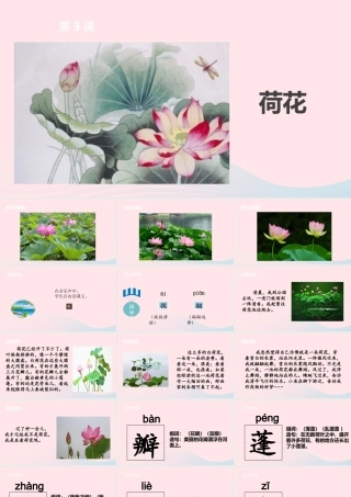 三年级语文下册 第一单元 3荷花课件 新人教版-新人教版小学三年级下册语文课件