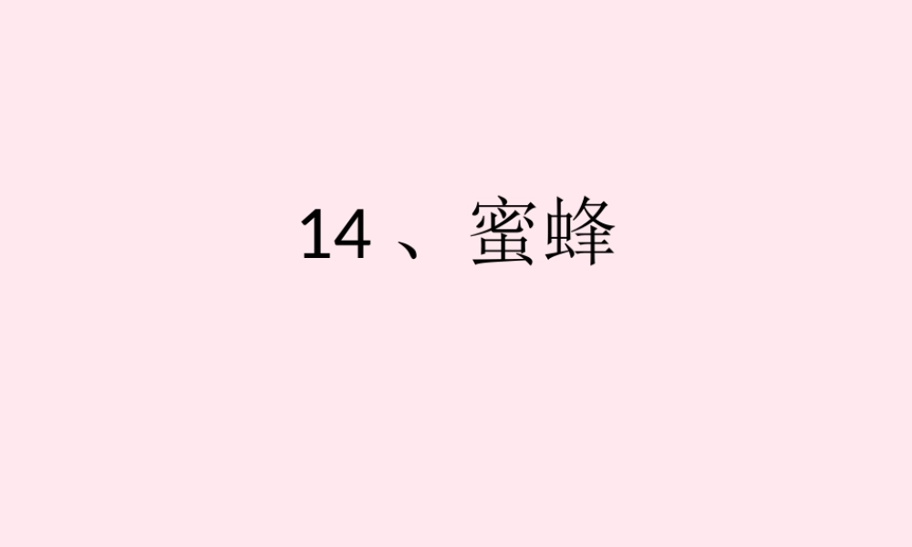 三年级语文下册 第四单元 14《蜜蜂》课堂教学课件2 新人教版-新人教版小学三年级下册语文课件