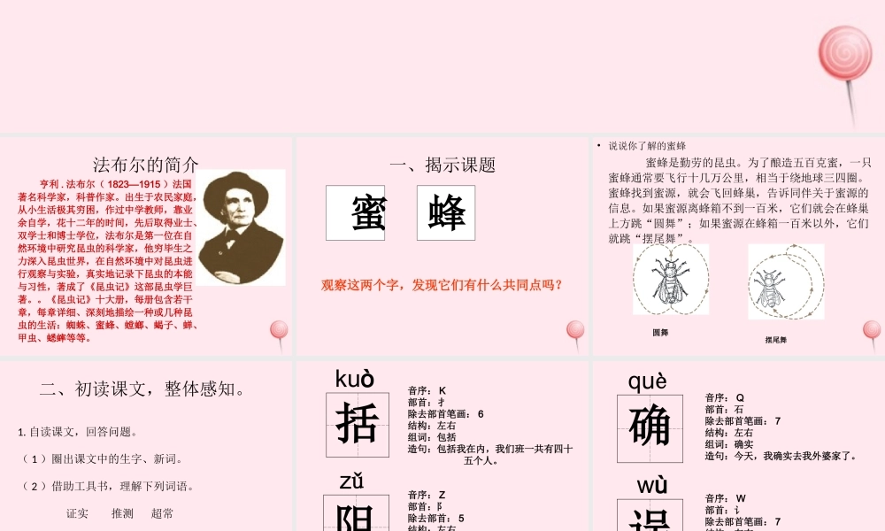 三年级语文下册 第四单元 14《蜜蜂》课堂教学课件2 新人教版-新人教版小学三年级下册语文课件