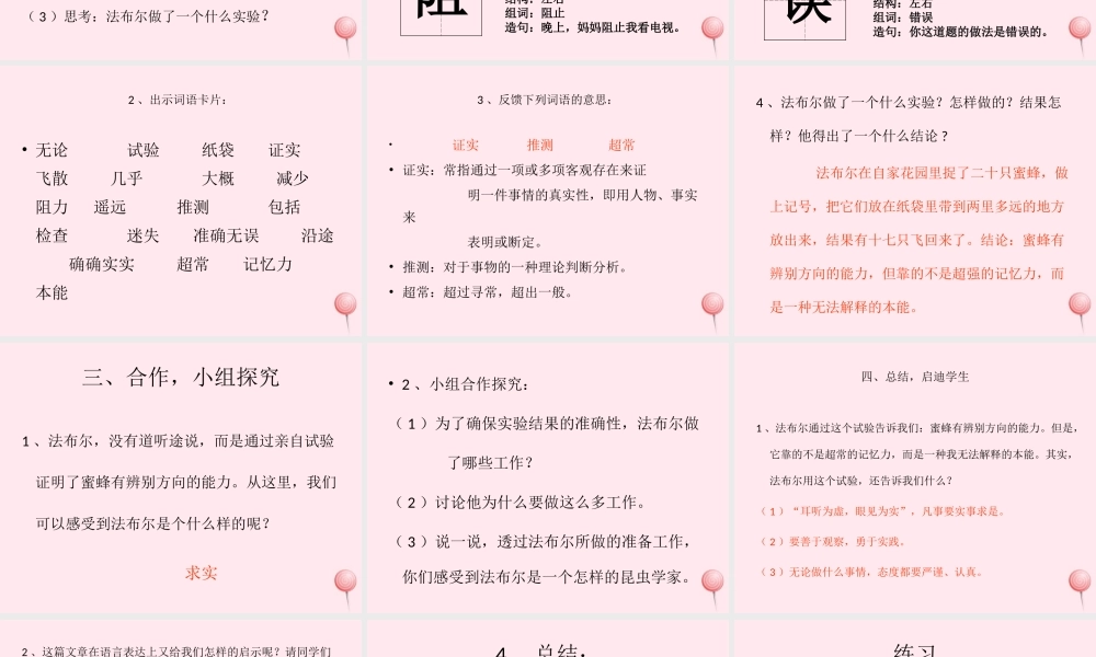 三年级语文下册 第四单元 14《蜜蜂》课堂教学课件2 新人教版-新人教版小学三年级下册语文课件