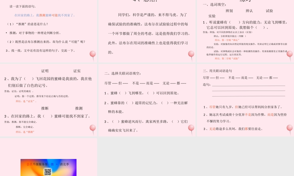 三年级语文下册 第四单元 14《蜜蜂》课堂教学课件2 新人教版-新人教版小学三年级下册语文课件