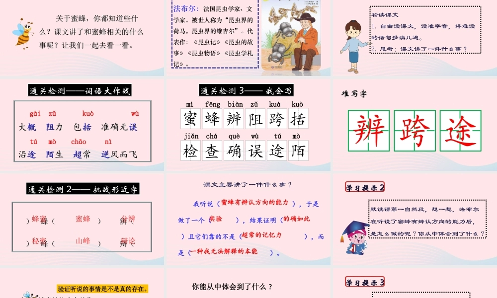 三年级语文下册 第四单元 14《蜜蜂》课堂教学课件3 新人教版-新人教版小学三年级下册语文课件