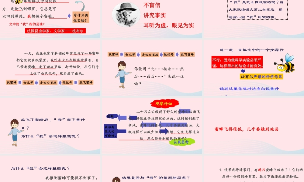 三年级语文下册 第四单元 14《蜜蜂》课堂教学课件3 新人教版-新人教版小学三年级下册语文课件