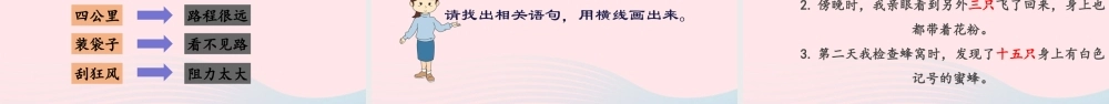 三年级语文下册 第四单元 14《蜜蜂》课堂教学课件3 新人教版-新人教版小学三年级下册语文课件