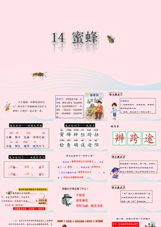 三年级语文下册 第四单元 14《蜜蜂》课堂教学课件3 新人教版-新人教版小学三年级下册语文课件