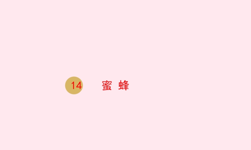 三年级语文下册 第四单元 14蜜蜂课件 新人教版-新人教版小学三年级下册语文课件