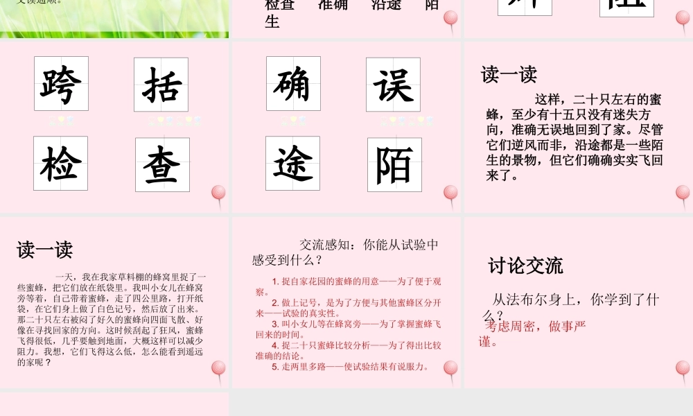 三年级语文下册 第四单元 14蜜蜂课件 新人教版-新人教版小学三年级下册语文课件