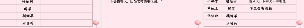 三年级语文下册 第四单元 15 奇异的植物世界课件 语文S版-语文S版小学三年级下册语文课件