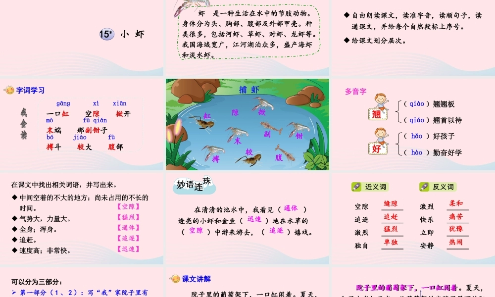 三年级语文下册 第四单元 15 小虾课件 新人教版-新人教版小学三年级下册语文课件