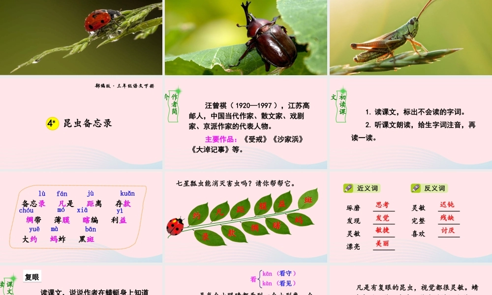 三年级语文下册 第一单元 4 昆虫备忘录课件 新人教版-新人教版小学三年级下册语文课件