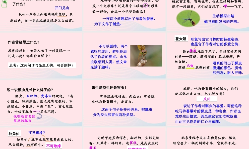 三年级语文下册 第一单元 4 昆虫备忘录课件 新人教版-新人教版小学三年级下册语文课件