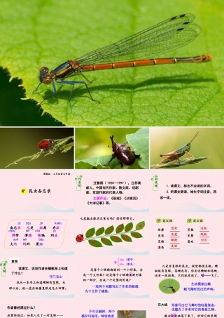 三年级语文下册 第一单元 4 昆虫备忘录课件 新人教版-新人教版小学三年级下册语文课件