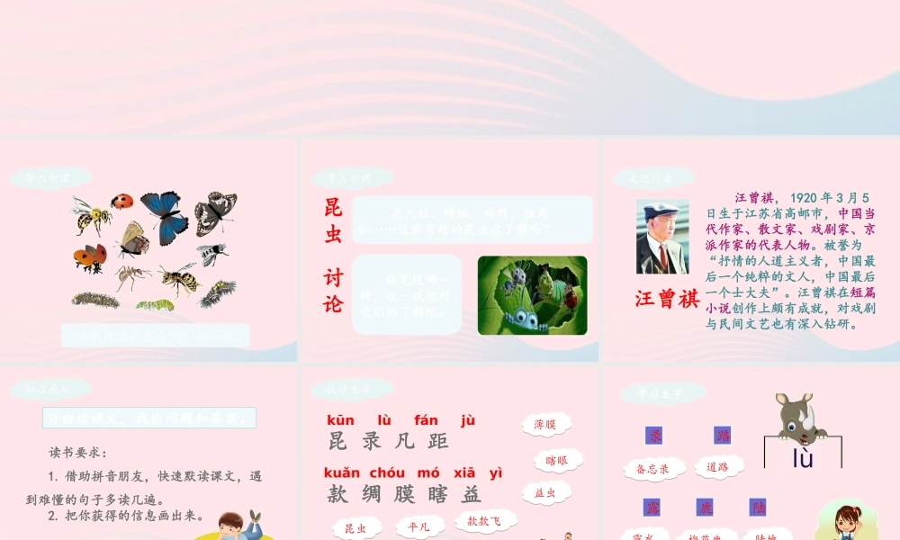 三年级语文下册 第一单元 4 昆虫备忘录课件1 新人教版-新人教版小学三年级下册语文课件