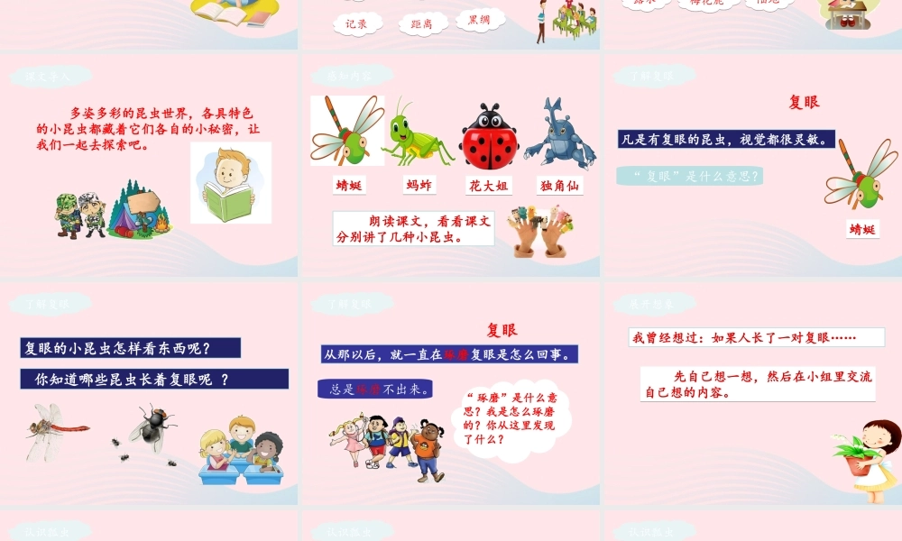 三年级语文下册 第一单元 4 昆虫备忘录课件1 新人教版-新人教版小学三年级下册语文课件