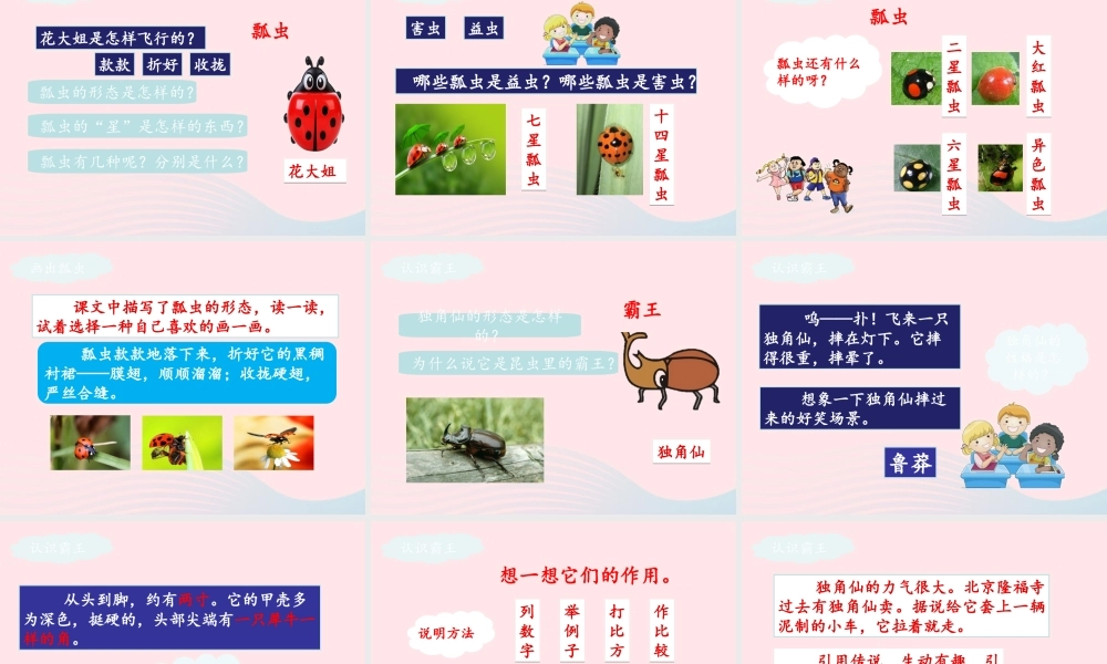 三年级语文下册 第一单元 4 昆虫备忘录课件1 新人教版-新人教版小学三年级下册语文课件