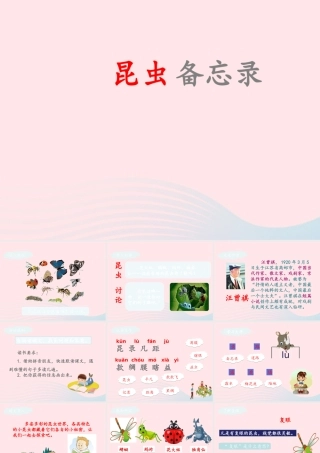 三年级语文下册 第一单元 4 昆虫备忘录课件1 新人教版-新人教版小学三年级下册语文课件